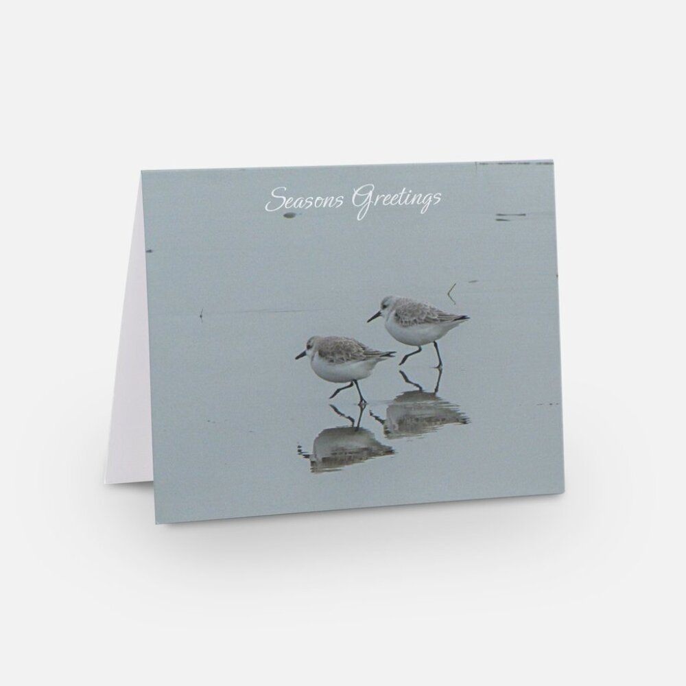 Seasons Greetings Holiday Card, Doran Beach, Bodega Bay, CA Sandpipers, Set of 6